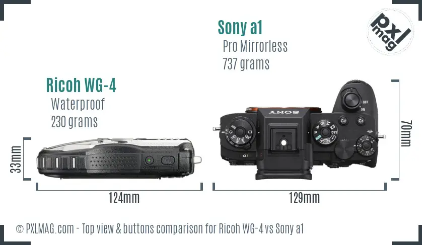 Ricoh WG-4 vs Sony a1 top view buttons comparison