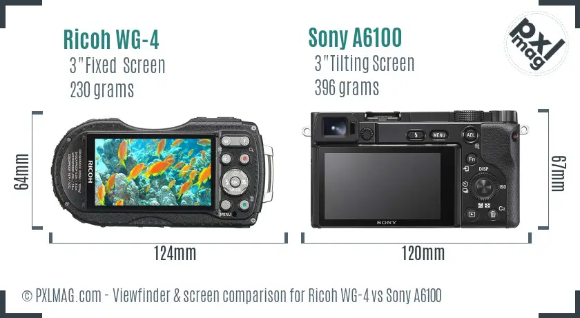 Ricoh WG-4 vs Sony A6100 Screen and Viewfinder comparison