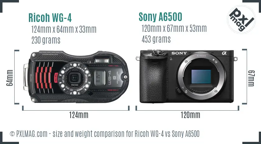 Ricoh WG-4 vs Sony A6500 size comparison