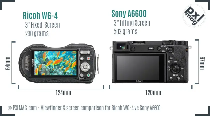 Ricoh WG-4 vs Sony A6600 Screen and Viewfinder comparison