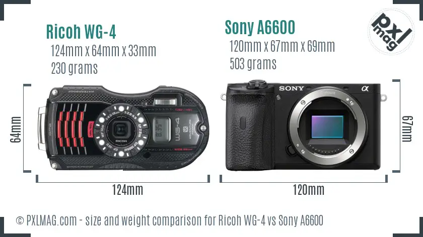 Ricoh WG-4 vs Sony A6600 size comparison