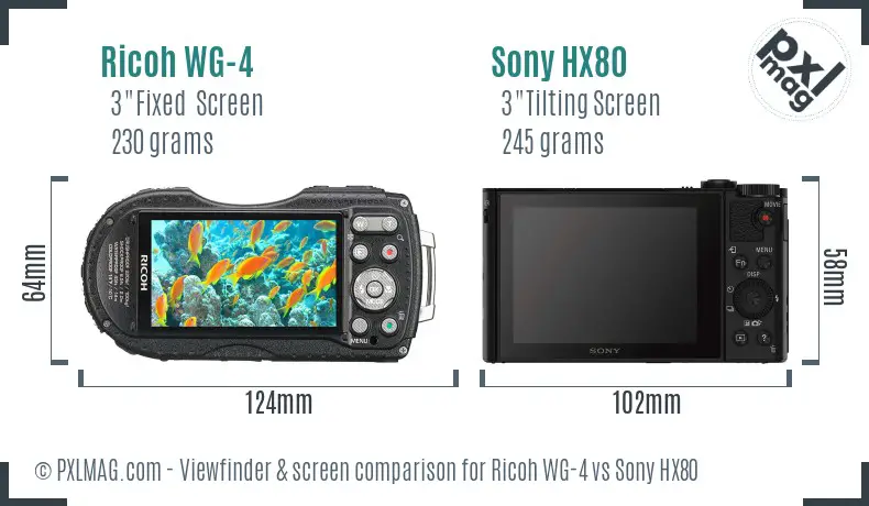 Ricoh WG-4 vs Sony HX80 Screen and Viewfinder comparison