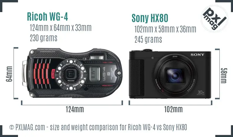 Ricoh WG-4 vs Sony HX80 size comparison