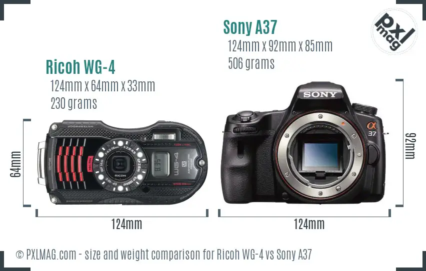 Ricoh WG-4 vs Sony A37 size comparison