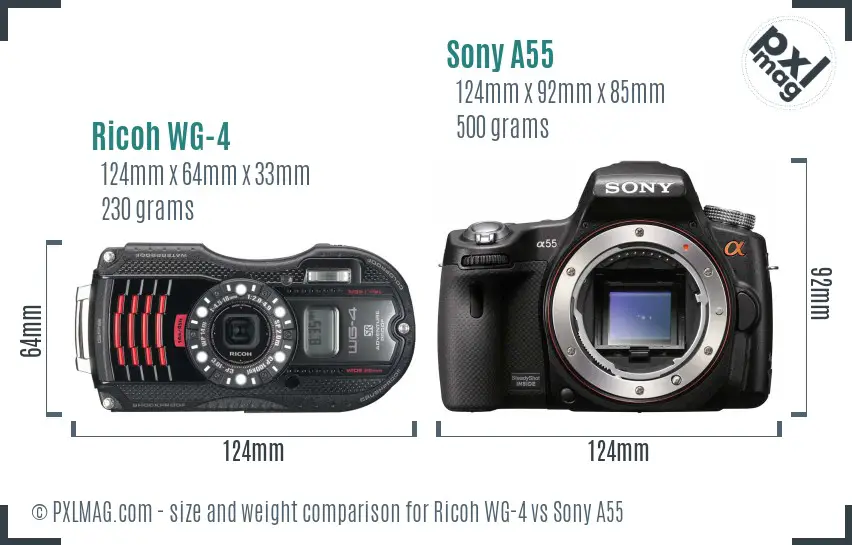 Ricoh WG-4 vs Sony A55 size comparison
