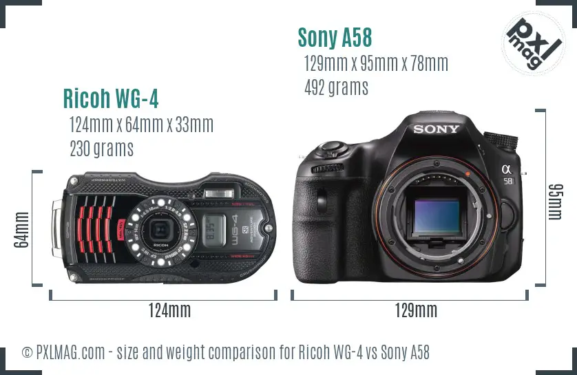 Ricoh WG-4 vs Sony A58 size comparison
