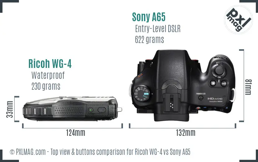 Ricoh WG-4 vs Sony A65 top view buttons comparison