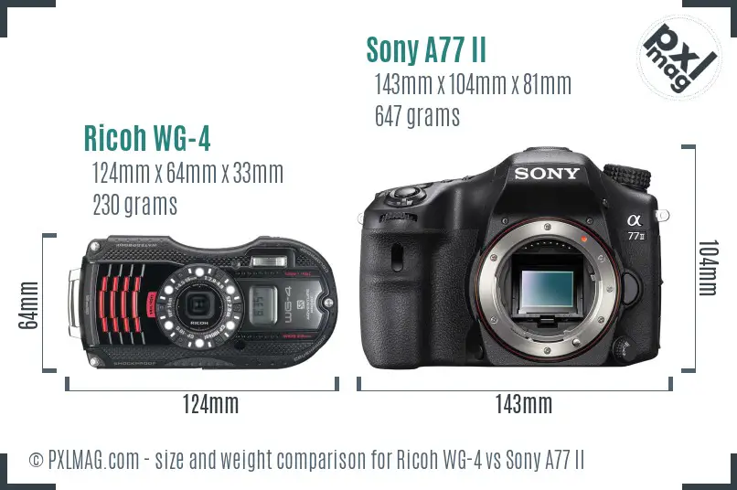 Ricoh WG-4 vs Sony A77 II size comparison