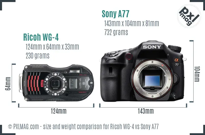 Ricoh WG-4 vs Sony A77 size comparison