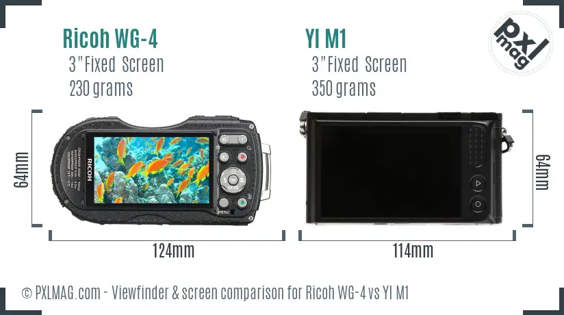 Ricoh WG-4 vs YI M1 Screen and Viewfinder comparison