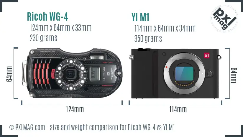 Ricoh WG-4 vs YI M1 size comparison