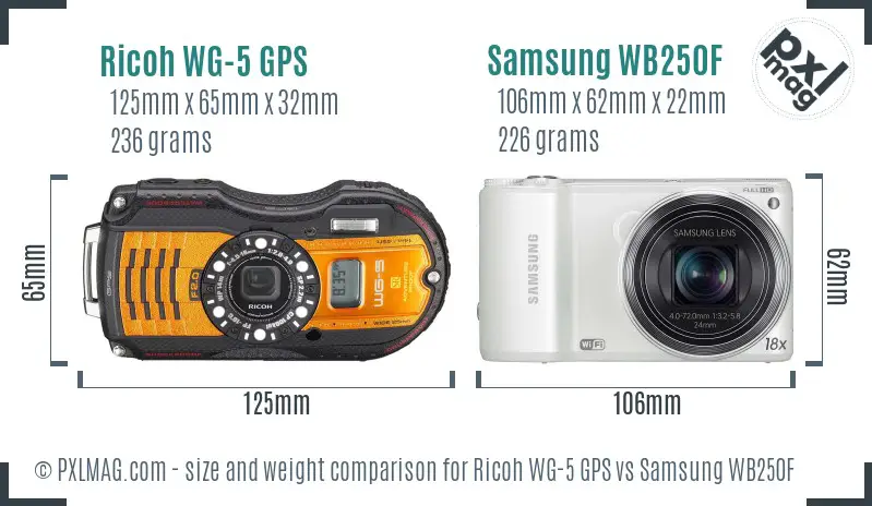 Ricoh WG-5 GPS vs Samsung WB250F size comparison