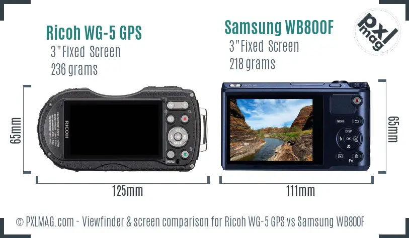Ricoh WG-5 GPS vs Samsung WB800F Screen and Viewfinder comparison