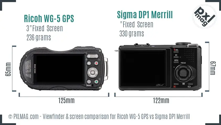 Ricoh WG-5 GPS vs Sigma DP1 Merrill Screen and Viewfinder comparison
