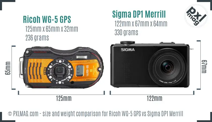 Ricoh WG-5 GPS vs Sigma DP1 Merrill size comparison