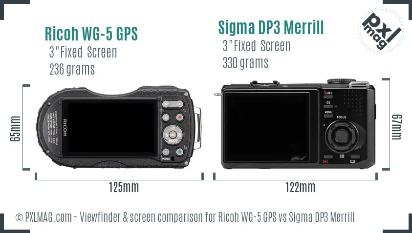 Ricoh WG-5 GPS vs Sigma DP3 Merrill Screen and Viewfinder comparison