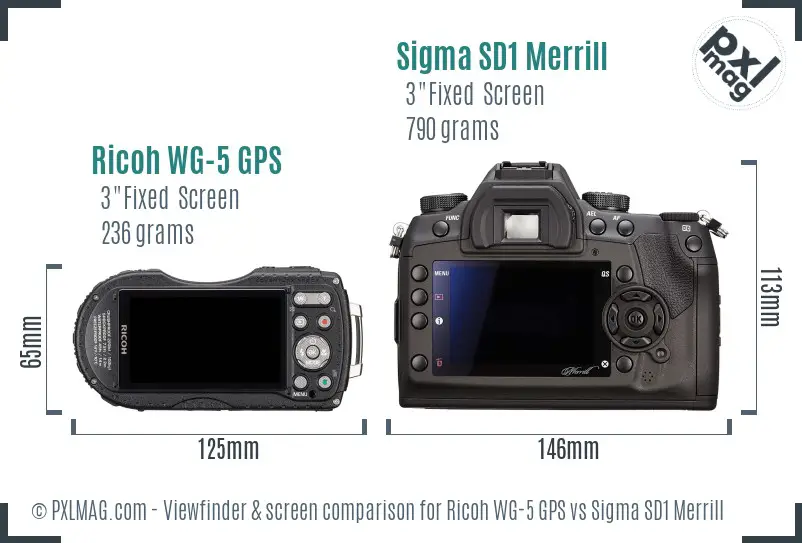 Ricoh WG-5 GPS vs Sigma SD1 Merrill Screen and Viewfinder comparison