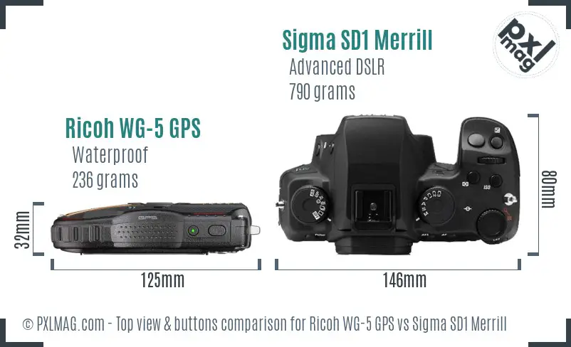 Ricoh WG-5 GPS vs Sigma SD1 Merrill top view buttons comparison