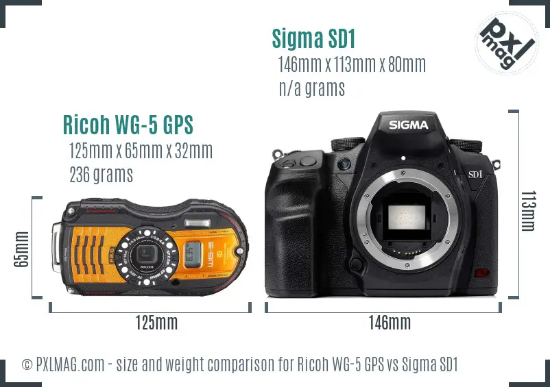 Ricoh WG-5 GPS vs Sigma SD1 size comparison Ricoh WG-5 GPS vs Sigma SD1 size comparison