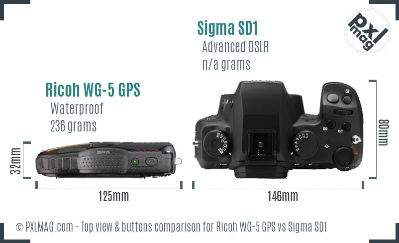 Ricoh WG-5 GPS vs Sigma SD1 top view buttons comparison Ricoh WG-5 GPS vs Sigma SD1 top view buttons comparison
