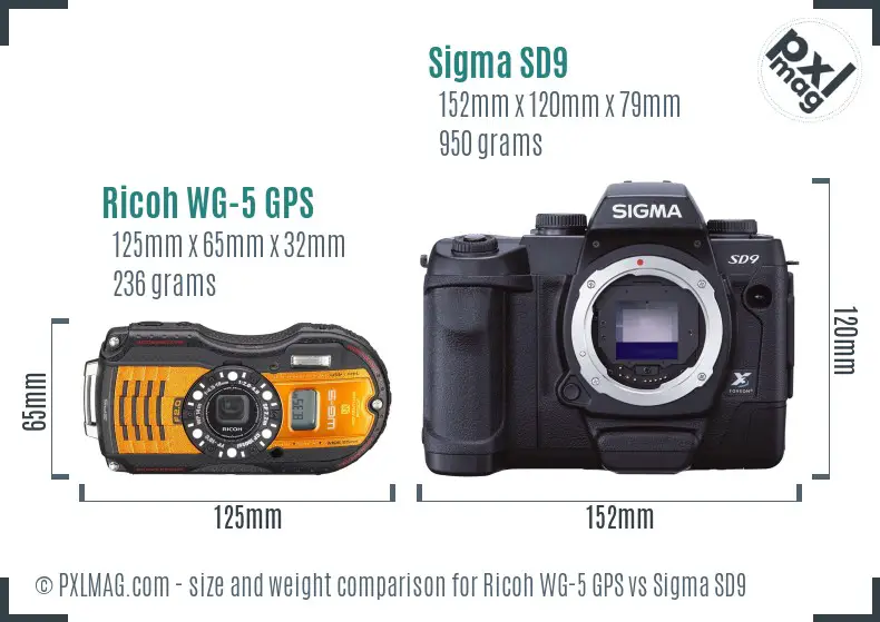 Ricoh WG-5 GPS vs Sigma SD9 size comparison