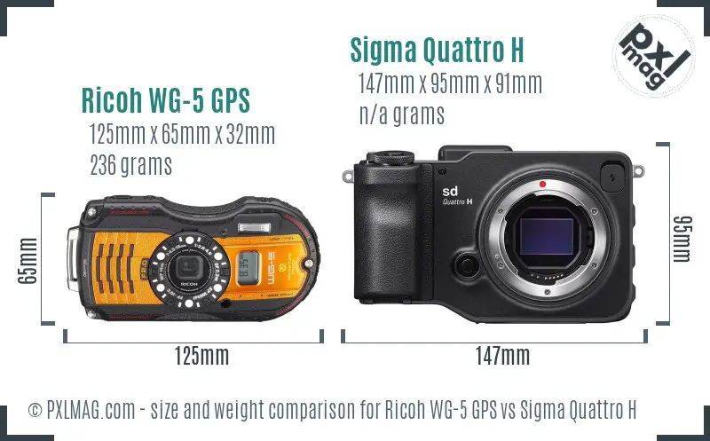 Ricoh WG-5 GPS vs Sigma Quattro H size comparison