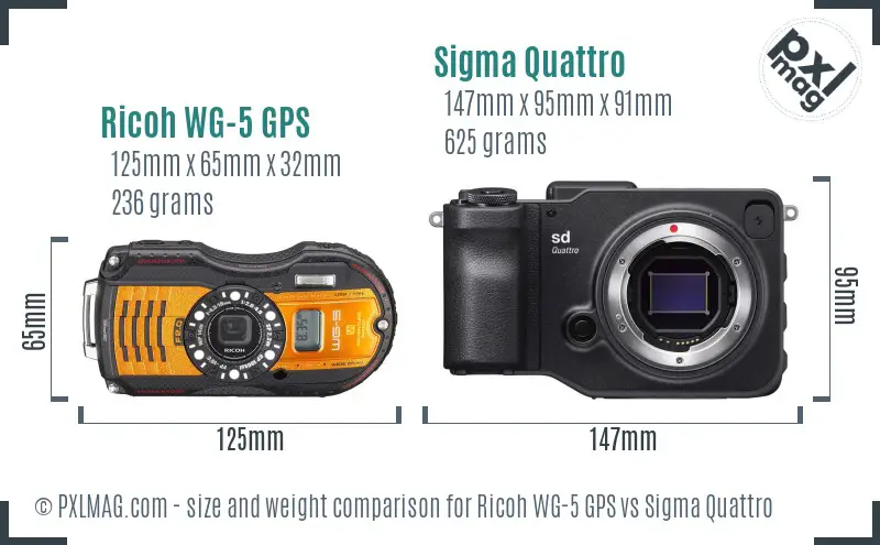 Ricoh WG-5 GPS vs Sigma Quattro size comparison