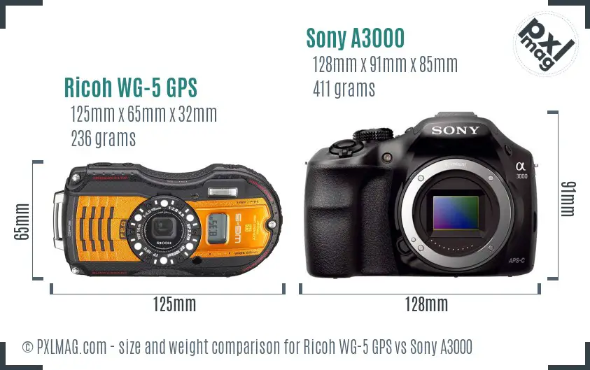 Ricoh WG-5 GPS vs Sony A3000 size comparison
