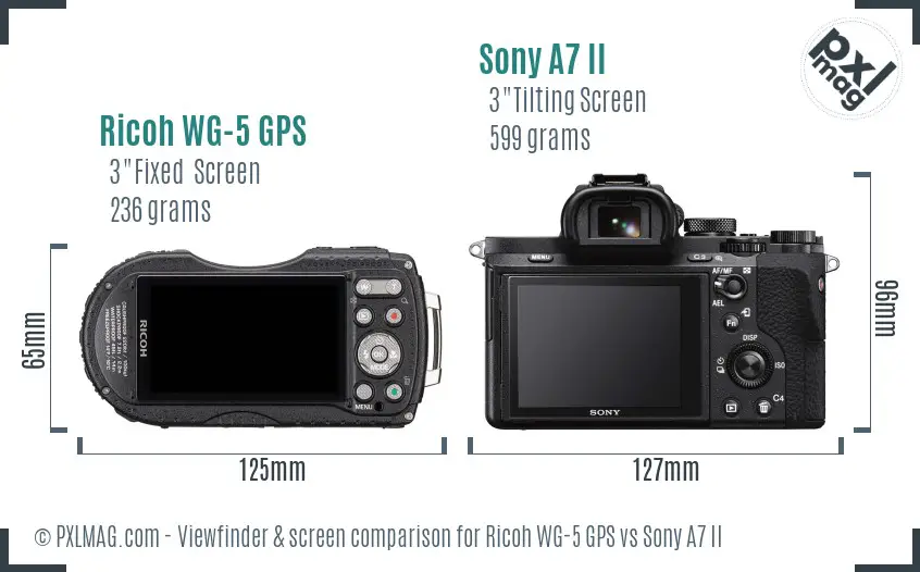 Ricoh WG-5 GPS vs Sony A7 II Screen and Viewfinder comparison