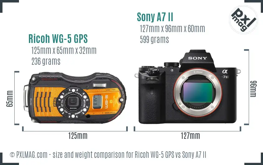 Ricoh WG-5 GPS vs Sony A7 II size comparison