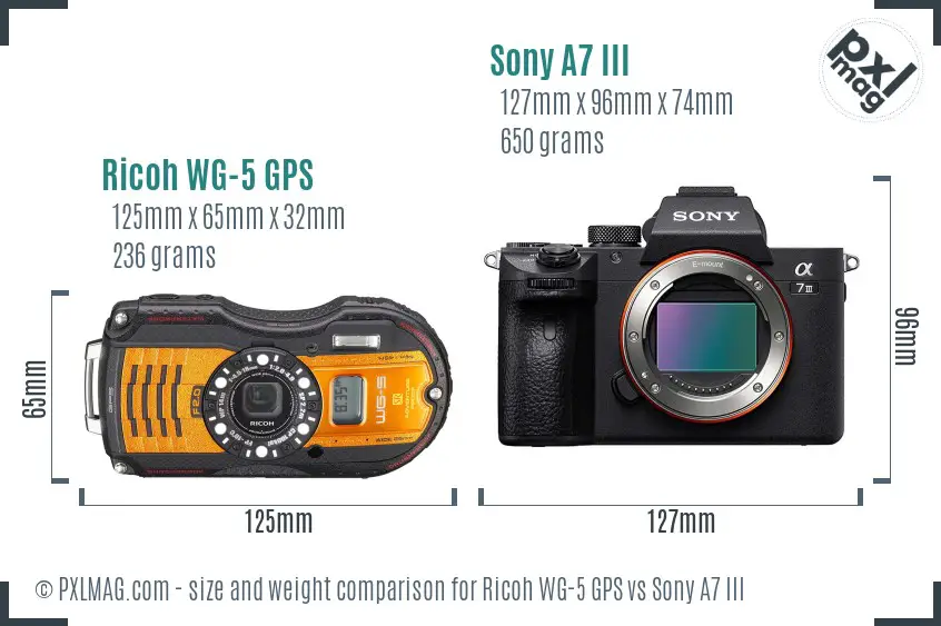 Ricoh WG-5 GPS vs Sony A7 III size comparison