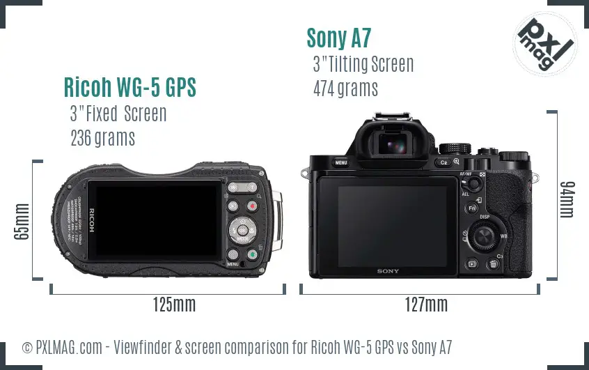 Ricoh WG-5 GPS vs Sony A7 Screen and Viewfinder comparison
