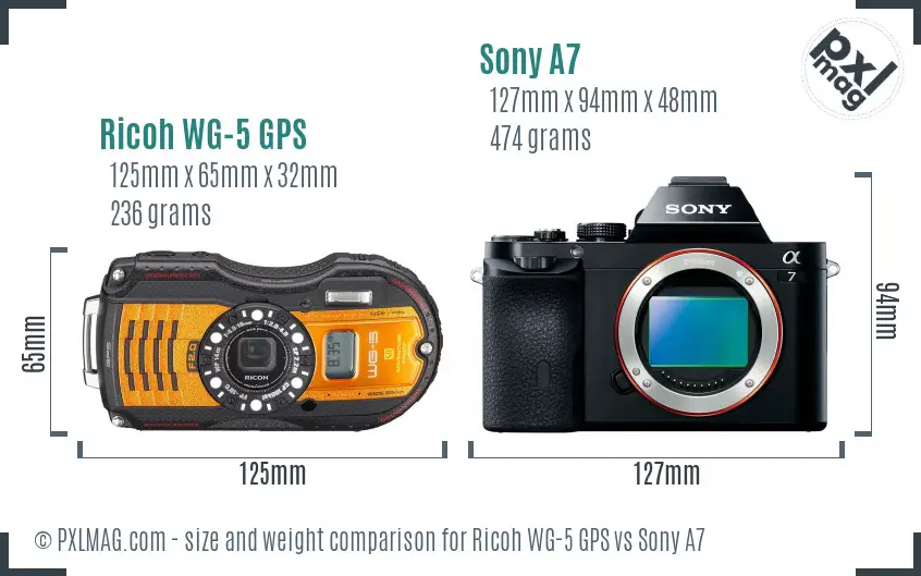Ricoh WG-5 GPS vs Sony A7 size comparison