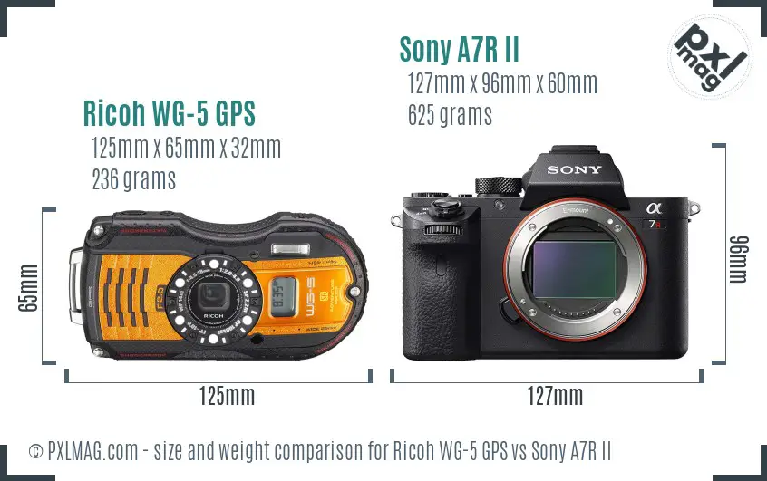 Ricoh WG-5 GPS vs Sony A7R II size comparison