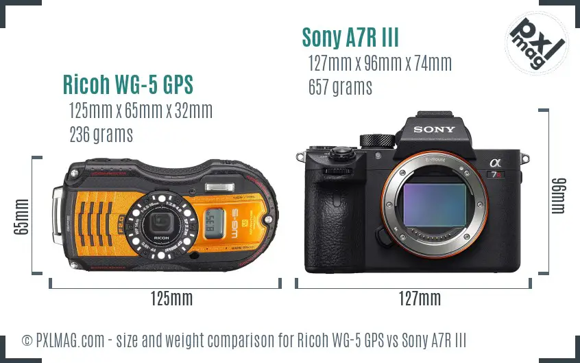 Ricoh WG-5 GPS vs Sony A7R III size comparison