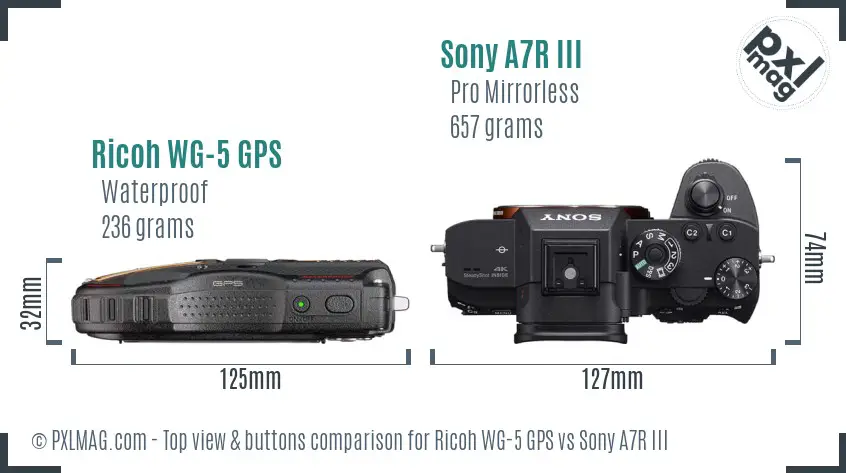 Ricoh WG-5 GPS vs Sony A7R III top view buttons comparison