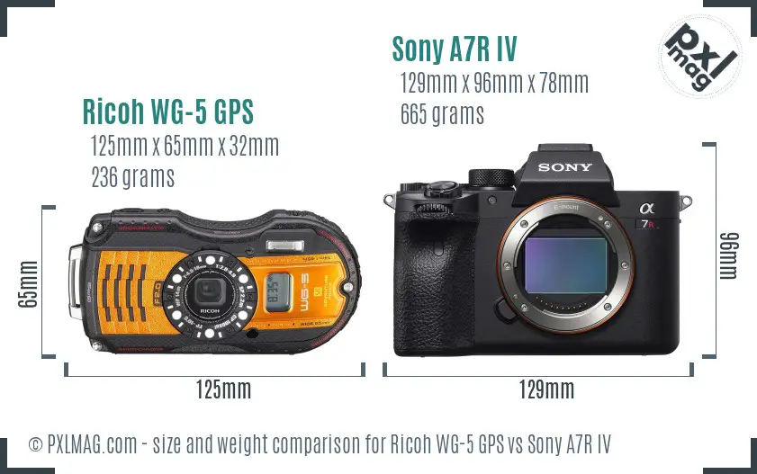Ricoh WG-5 GPS vs Sony A7R IV size comparison