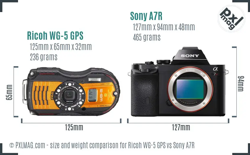 Ricoh WG-5 GPS vs Sony A7R size comparison