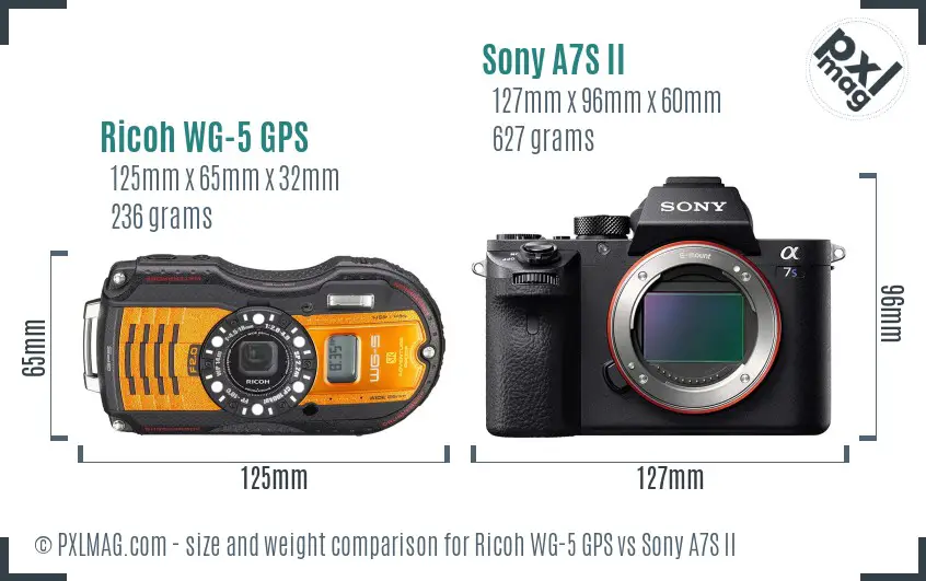 Ricoh WG-5 GPS vs Sony A7S II size comparison