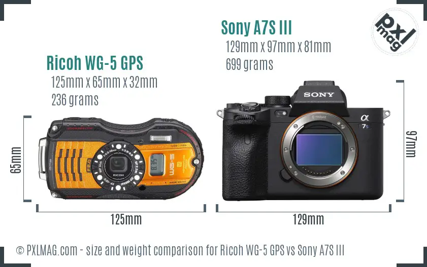 Ricoh WG-5 GPS vs Sony A7S III size comparison