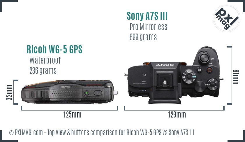 Ricoh WG-5 GPS vs Sony A7S III top view buttons comparison