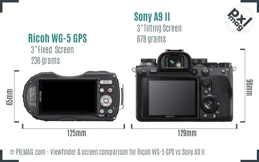 Ricoh WG-5 GPS vs Sony A9 II Screen and Viewfinder comparison