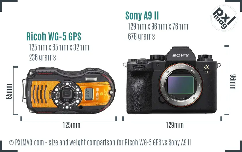 Ricoh WG-5 GPS vs Sony A9 II size comparison