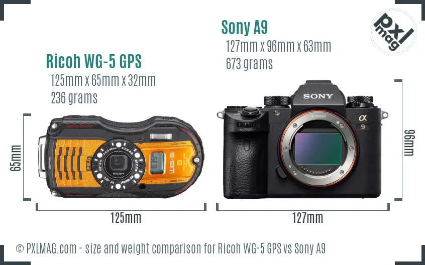 Ricoh WG-5 GPS vs Sony A9 size comparison