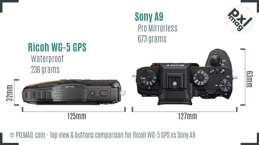 Ricoh WG-5 GPS vs Sony A9 top view buttons comparison