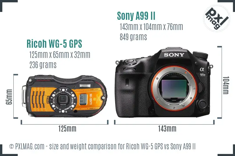 Ricoh WG-5 GPS vs Sony A99 II size comparison