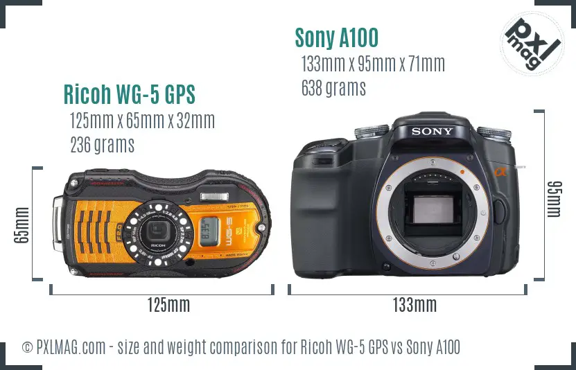 Camera size and ergonomics comparison