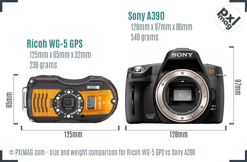 Ricoh WG-5 GPS vs Sony A390 size comparison