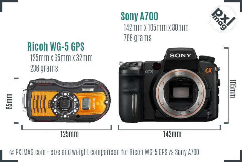 Ricoh WG-5 GPS vs Sony A700 size comparison