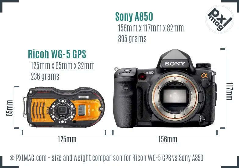 Ricoh WG-5 GPS vs Sony A850 size comparison